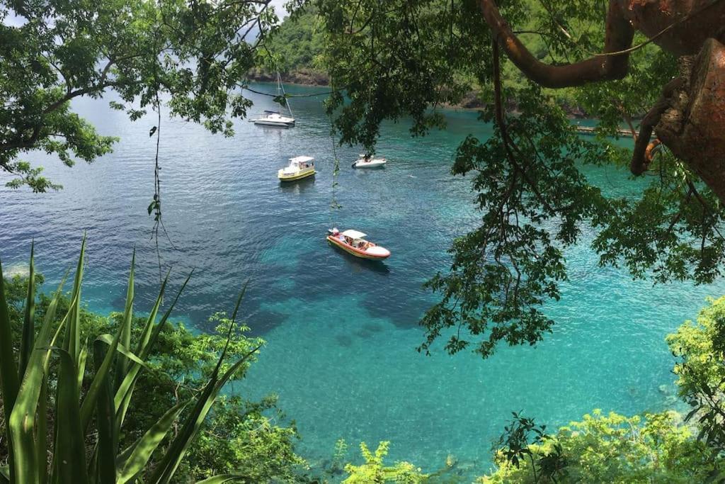 Le Marin - Bungalow Classe 3 Etoiles Tb Equipe & Confortable - Escapade En Couple - Paisible & En Toute Discretion - Wi-Fi - Climatisation - Calme & Serenite - Plages Du Sud, Centre De Carenage & Marina Du Marin Proche En Voiture - Acheminement Sur D Exterior photo