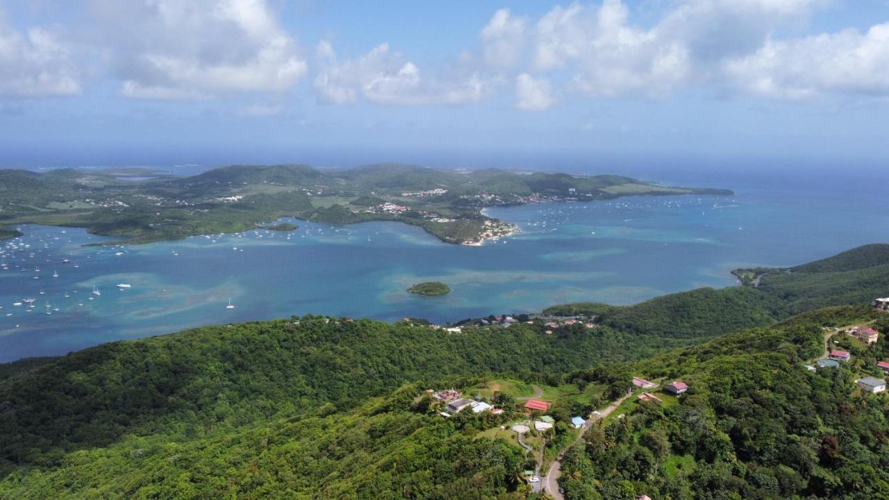 Le Marin - Bungalow Classe 3 Etoiles Tb Equipe & Confortable - Escapade En Couple - Paisible & En Toute Discretion - Wi-Fi - Climatisation - Calme & Serenite - Plages Du Sud, Centre De Carenage & Marina Du Marin Proche En Voiture - Acheminement Sur D Exterior photo