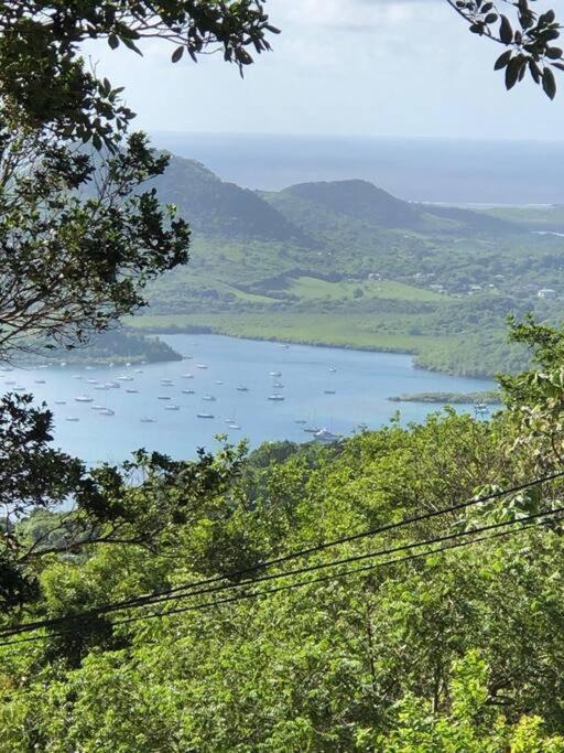 Le Marin - Bungalow Classe 3 Etoiles Tb Equipe & Confortable - Escapade En Couple - Paisible & En Toute Discretion - Wi-Fi - Climatisation - Calme & Serenite - Plages Du Sud, Centre De Carenage & Marina Du Marin Proche En Voiture - Acheminement Sur D Exterior photo